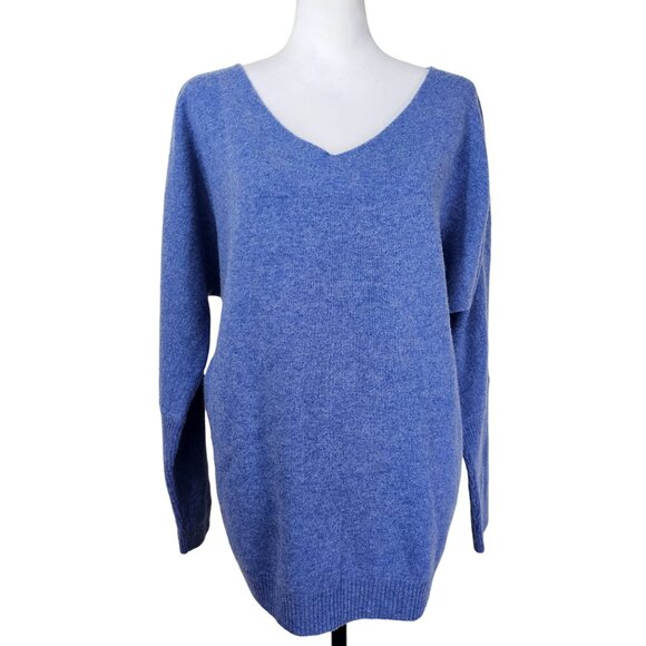 Liny Xin Womens V-Neck Superfine Merino Wool Sweater Sz L Blue Preppy Academia - Picture 1 of 12